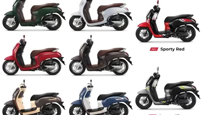 Empat Varian dengan Pilihan Warna dan Desain Grafis yang Beragam