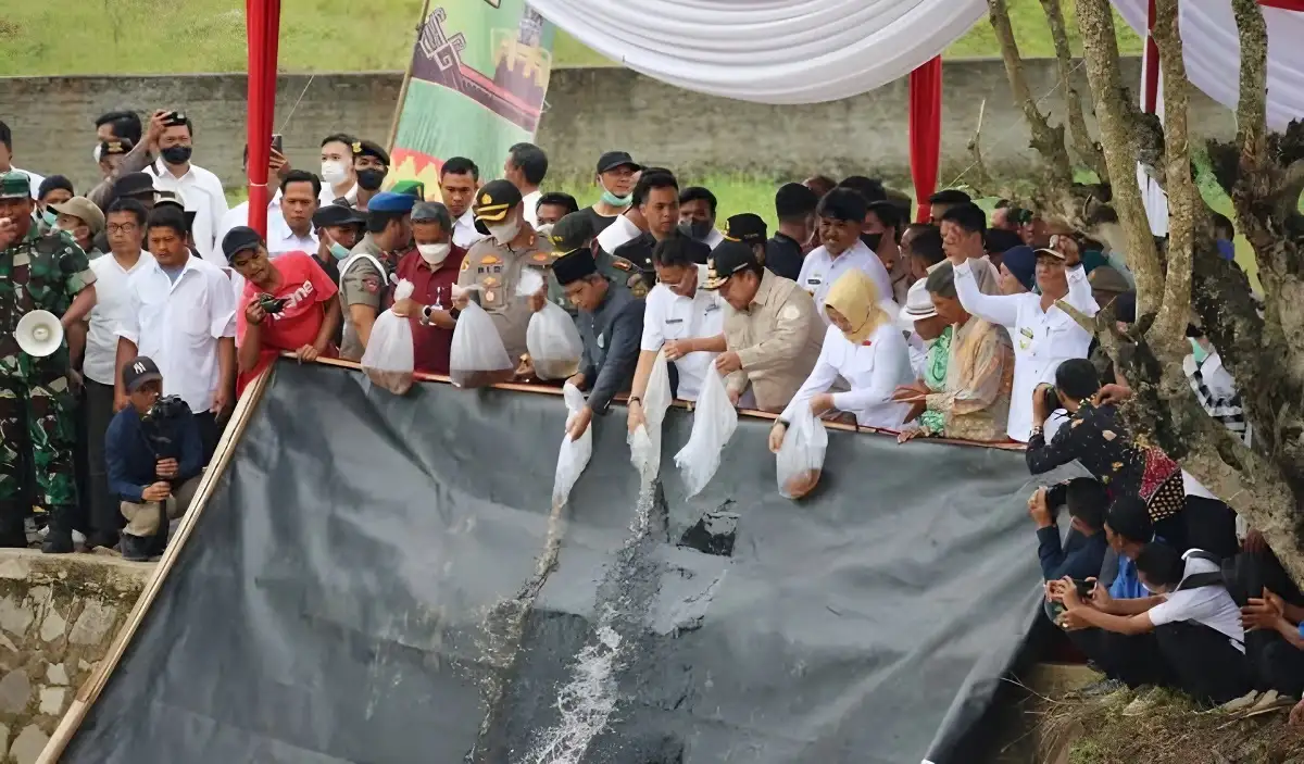 Gubernur, Way Kanan Bakti Sosial 500 Ribu Ekor Benih Ikan Dibagikan dalam Acara Perantineba