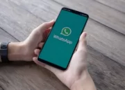 Ini Dia Cara Menggunakan Fitur Pengiriman Pesan Video Pendek di WhatsApp Versi Beta!