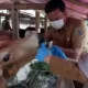 Inspeksi Lapak Menjelang Iduladha Dinas Pertanian Berita Gembira, Hewan Kurban di Bandar Lampung Terbebas dari Penyakit