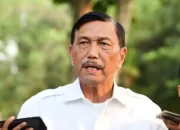 Menko Luhut Munculkan Harapan: Produsen Siap Jual Mobil Listrik Murah!