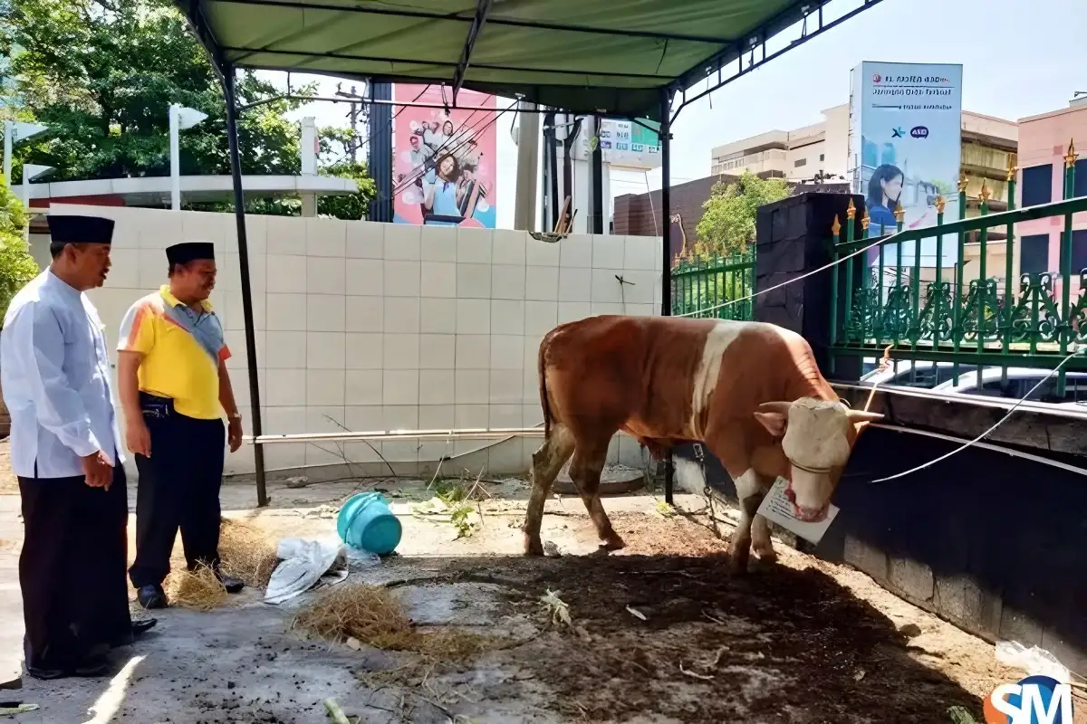 PHBI Masjid Baiturrahim Kemiling Memotong 34 Hewan Kurban dan Menyalurkannya kepada Warga dan Mustahik