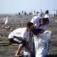 PLN Kolaborasi dengan Mahasiswa IIB Darmajaya Membersihkan 2,5 Ton Sampah di Pesisir Pantai Bandar Lampung