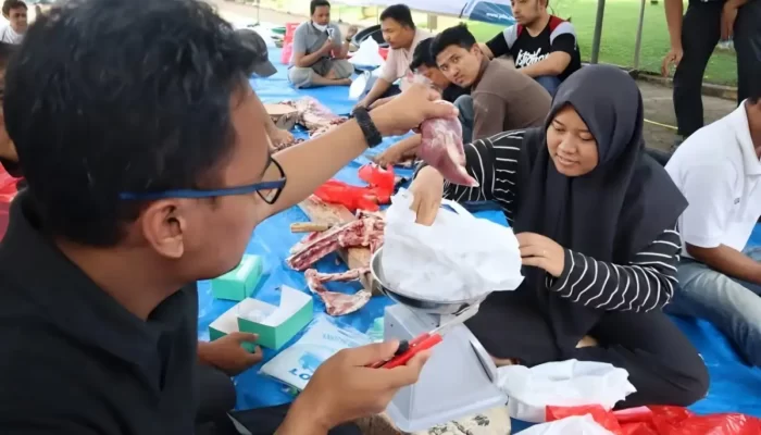 PLN UID Lampung Salurkan Ratusan Paket Daging Kurban dalam Perayaan Iduladha 1444 H