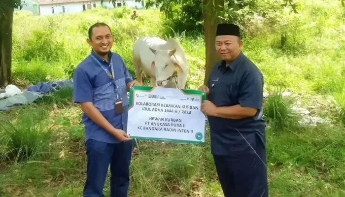 PT Angkasa Pura II dan Dompet Dhuafa Kolaborasi Salurkan Hewan Kurban di Branti