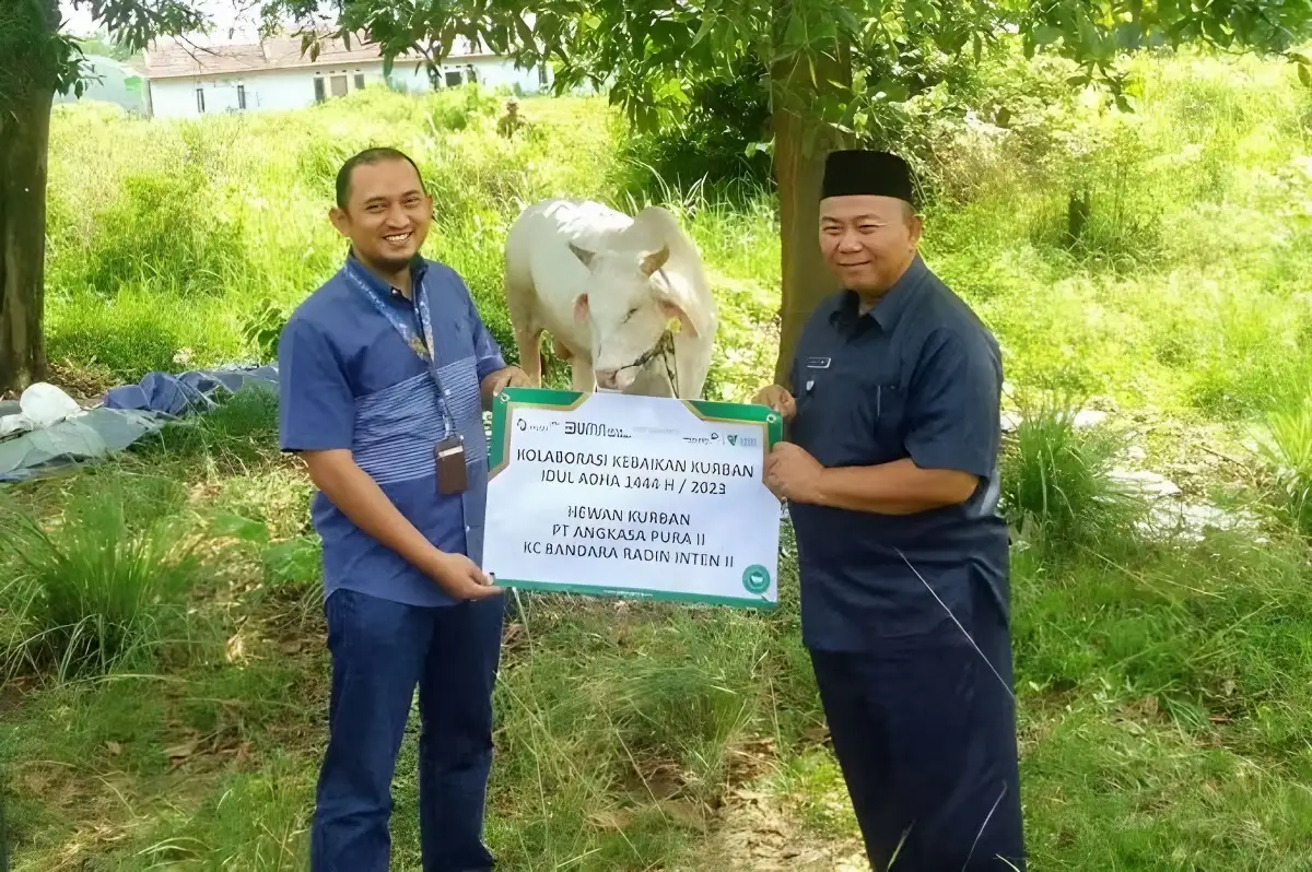 PT Angkasa Pura II dan Dompet Dhuafa Kolaborasi Salurkan Hewan Kurban di Branti