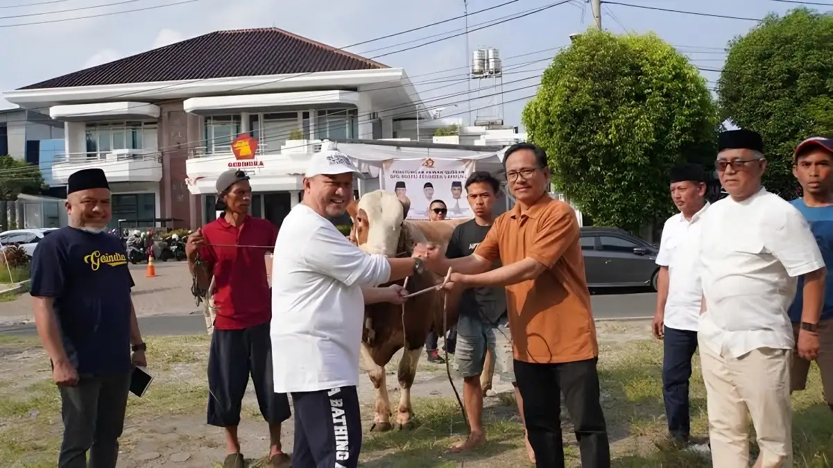 Partai Gerindra Lampung Mengadakan Penyembelihan 16 Sapi Kurban untuk Berbagi Kebahagiaan Iduladha dengan Masyarakat