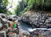Rasakan Keindahan Hutan dalam Festival Wisata ‘Hutopia’ di Tahura Sumber Agung Bandar Lampung: Jadwal Menarik 3-10 Juli 2023!