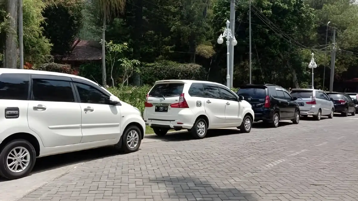 Rekomendasi Travel Malang Jember Penjadwalan, Harga, dan Fasilitas Travel