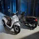 Warna Honda Scoopy Terbaru Pilihan Paling Trendi yang Harus Kamu Cek Sekarang!