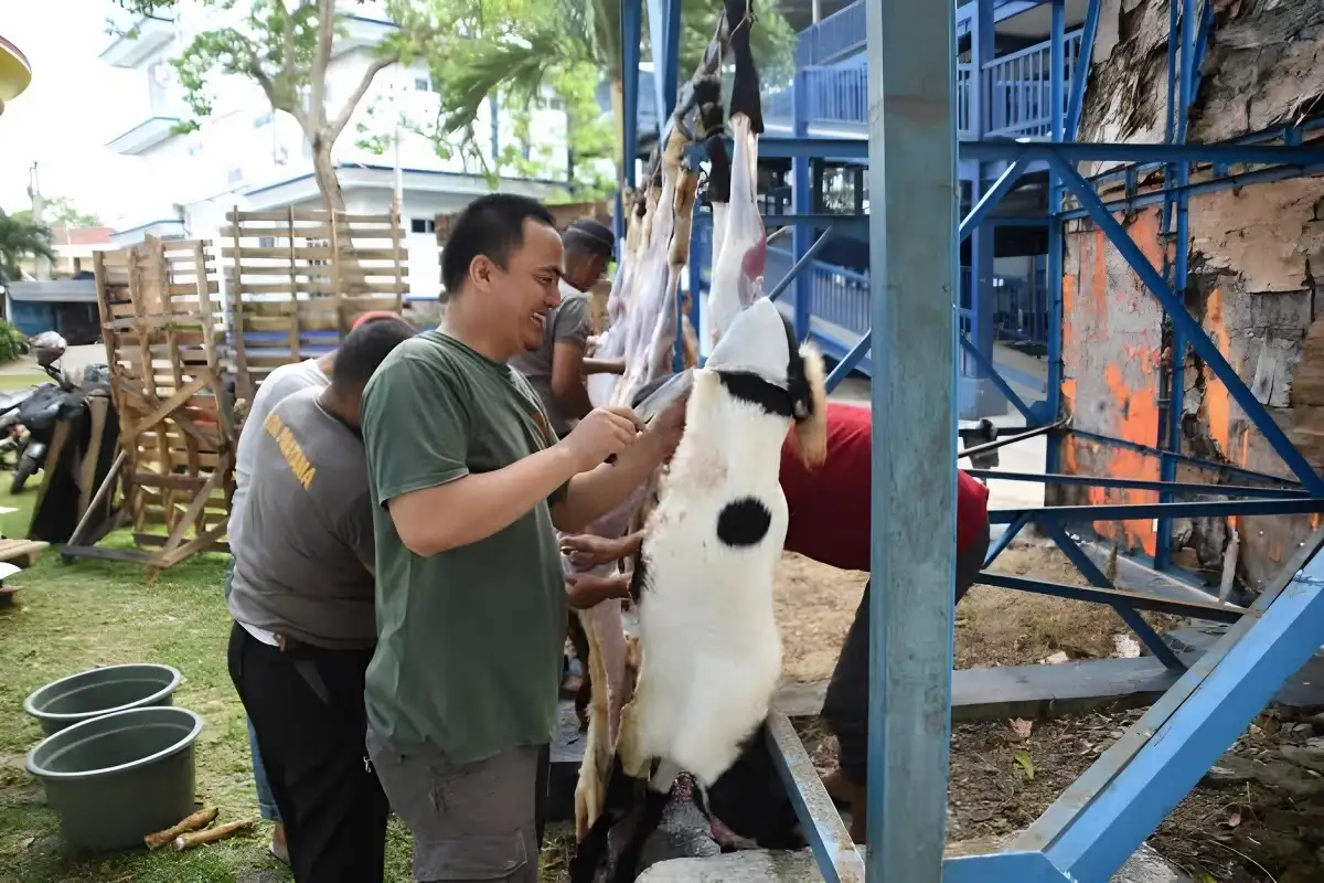 Yayasan Alfian Husin dan IIB Darmajaya Mengadakan Berkurban, Sembelih 2 Ekor Sapi dan 5 Ekor Kambing