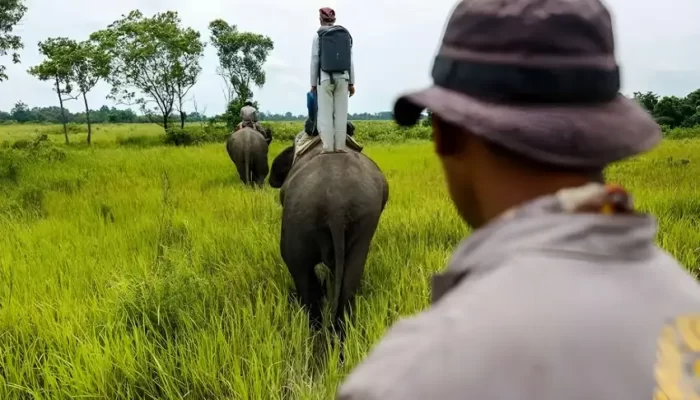 Mencari Petualangan Baru? 10 Destinasi Seru di Braja Harjosari, Lampung Timur yang Wajib Dikunjungi saat Liburan! 2 Bosan ke Way Kambas, 10 Paket Wisata di Braja Harjosari Lampung Timur ini Wajib Dikunjungi Saat Liburan