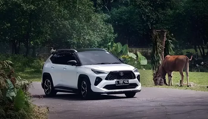 Kejutan Toyota: Siapkan 3 Mobil Baru Sebagai Hadiah Istimewa untuk Indonesia! 2 Cerita Bos Pabrik Toyota Siapkan 3 Mobil Baru Sekaligus Untuk Indonesia