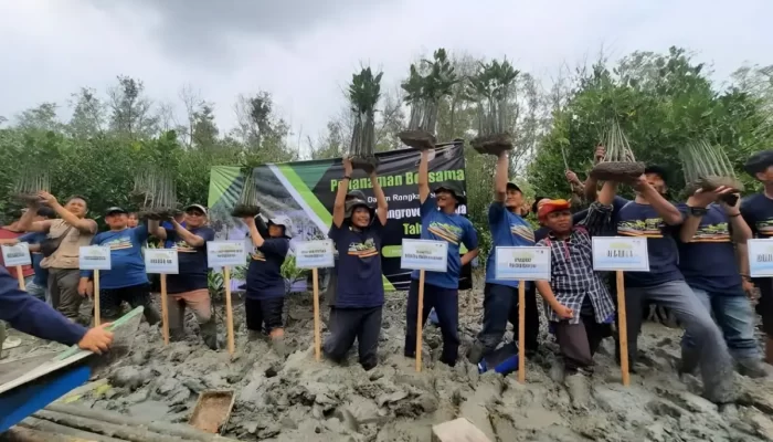 Ekowisata Mangrove 2023: Membuka Peluang Baru bagi Konservasi Alam