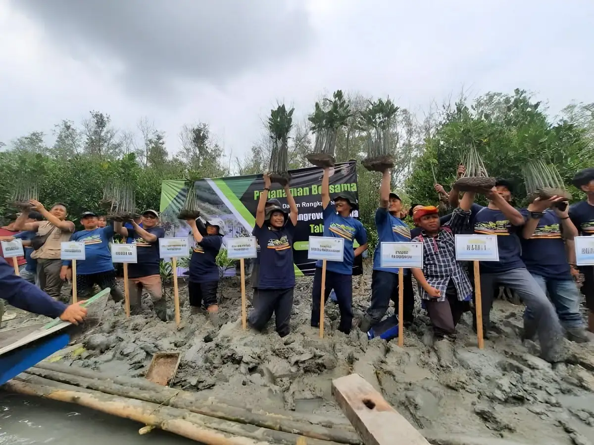 Ekowisata Mangrove 2023 Membuka Peluang Baru bagi Konservasi Alam