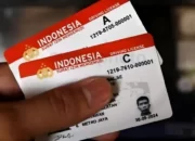 Kursus SIM A: Investasi Mahal yang Menggiurkan, Biaya Lebih Tinggi Tapi Worth It!