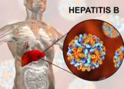 Mewaspadai Penularan Hepatitis B dari Ibu ke Anak: Fakta yang Perlu Diketahui