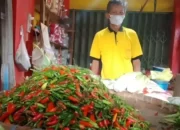 Naiknya Harga Cabai Rawit di Bandar Lampung: Tembus Rp70 Ribu per Kg