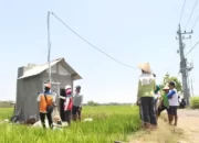 Revolusi Listrik di Pertanian: Program Electrifying Agriculture PLN Berkembang Pesat dengan Kenaikan 22,28 Persen