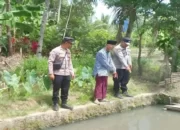 Tragis! Balita Tewas Tenggelam di Kolam Ikan Tetangga saat Dikira Main Bareng Teman di Sumberejo Tanggamus