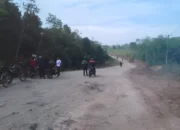 Transformasi 14 Bulan: Pj Bupati Sulpakar Fokus Perbaikan 15 Ruas Jalan di Mesuji