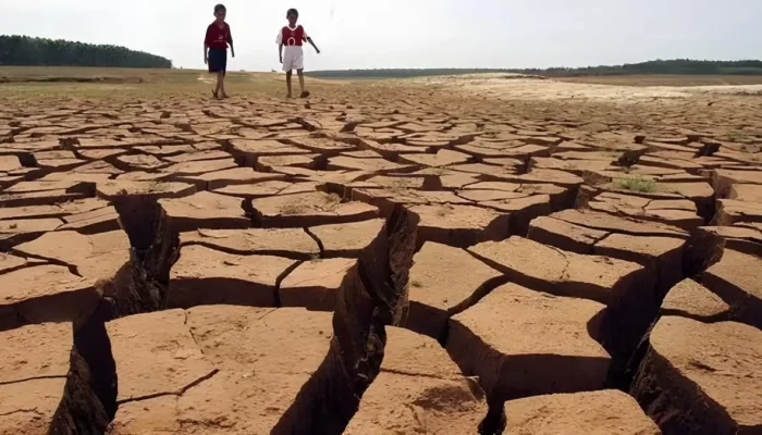 Peringatan dari BMKG: Dampak El Nino Semakin Mematikan, Ketahanan Pangan Terancam!