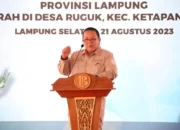 Gubernur Arinal Mengajukan Ajakan Memperkuat Solidaritas dalam Mengendalikan Inflasi Pangan di Lampung