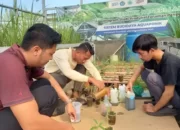 Kajian Efektivitas Herbisida Nabati oleh Dosen Prodi TPTP Polinela dalam Mendorong Pertanian Berkelanjutan