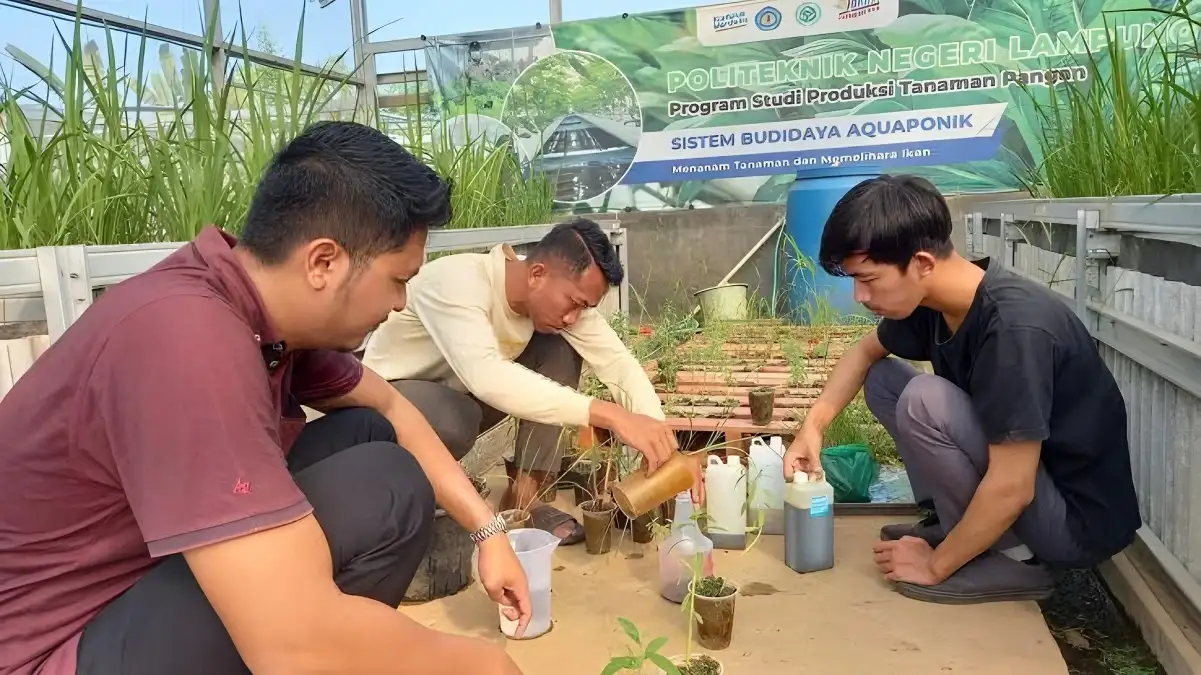 Dosen Prodi TPTP Polinela Teliti Efektivitas Herbisida Nabati untuk Mendukung Pertanian Berkelanjutan
