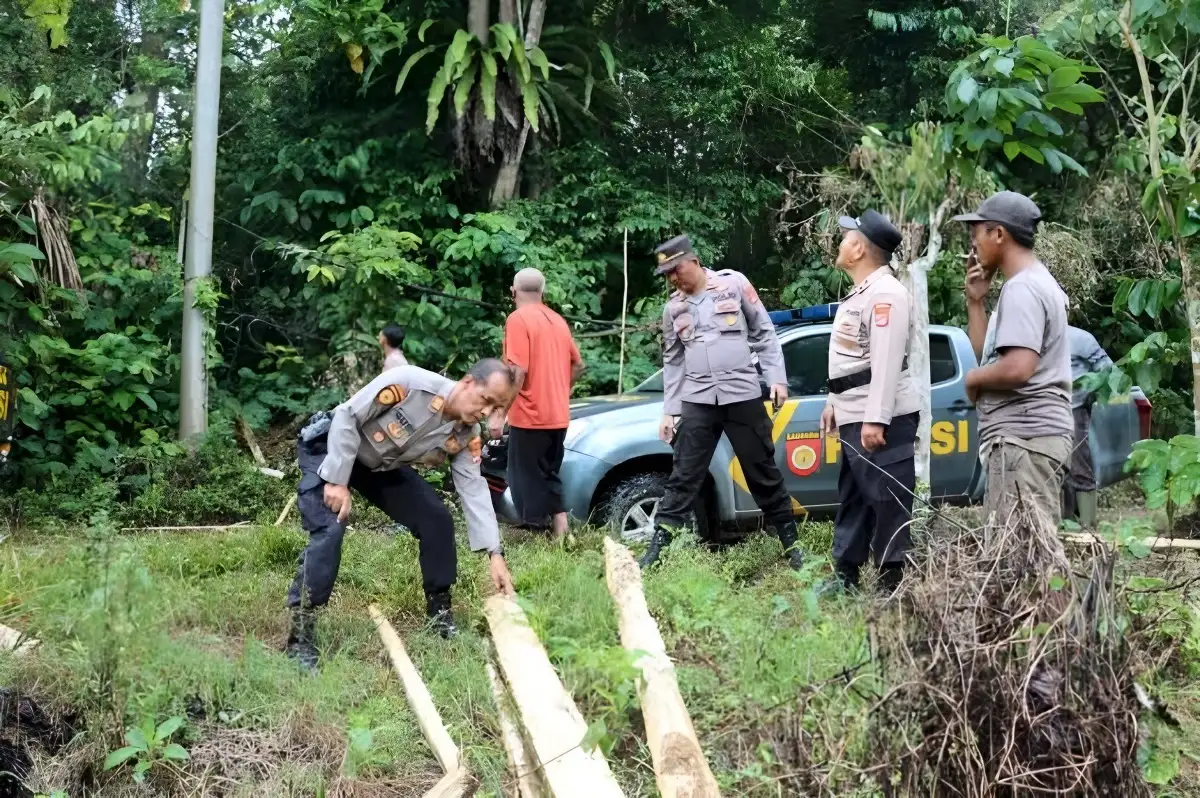 Kawanan Gajah Masuk ke Kebun Warga Pekon Sedayu Semaka Tanggamus, 6 Hektare Tanaman Rusak
