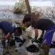Lagi, Limbah Hitam Diduga Minyak Mentah Cemari Laut Lampung, Kali ini di Pantai Kedu Warna Lampung Selatan