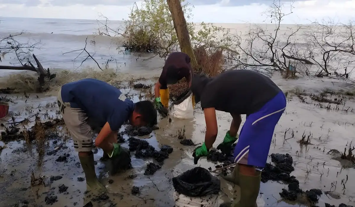 Lagi, Limbah Hitam Diduga Minyak Mentah Cemari Laut Lampung, Kali ini di Pantai Kedu Warna Lampung Selatan