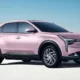 Merek Mobil Listrik Neta Rencanakan CKD Di Indonesia 2024