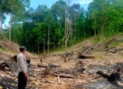 Kemarau Mencekam, Ketiga Lokasi di Pesisir Barat Mengancam dengan Kebakaran Hutan dan Lahan