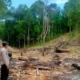 Musim Kemarau, Waspadai Tiga Titik di Pesisir Barat ini Rawan Kebakaran Hutan dan Lahan