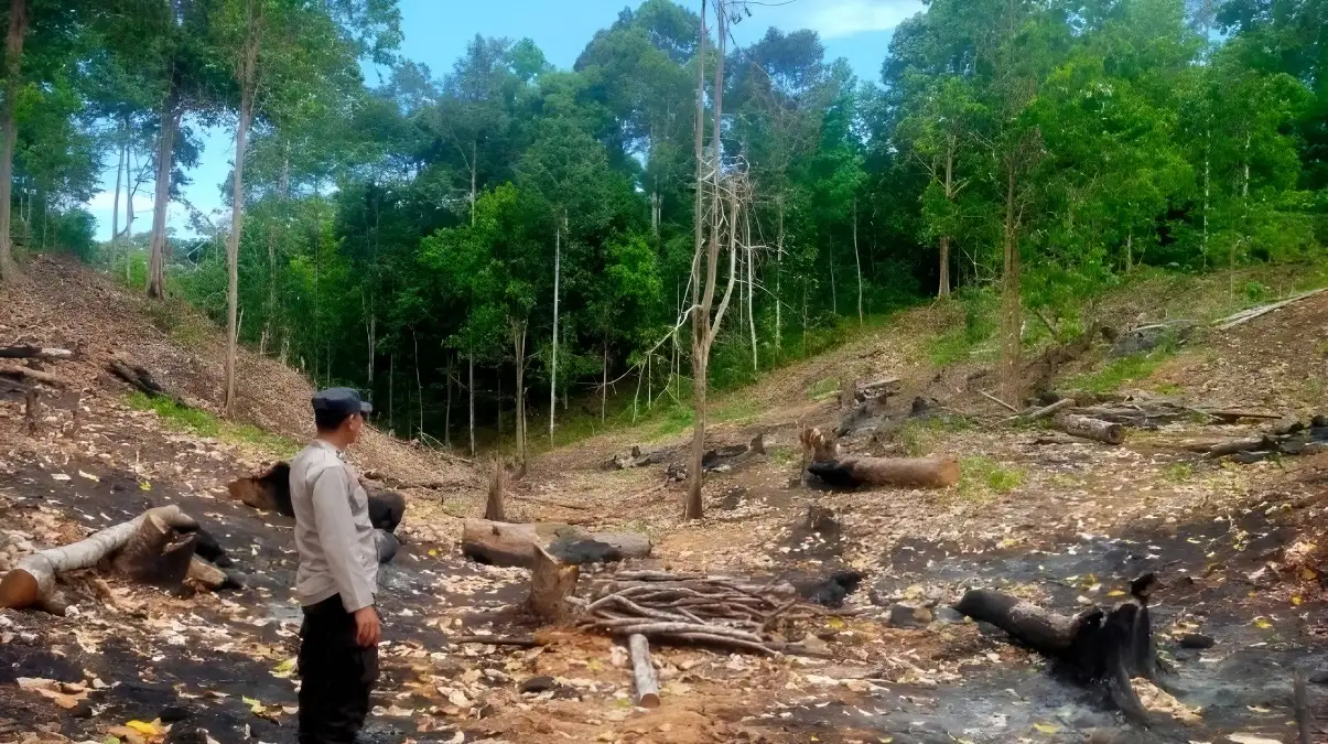Musim Kemarau, Waspadai Tiga Titik di Pesisir Barat ini Rawan Kebakaran Hutan dan Lahan