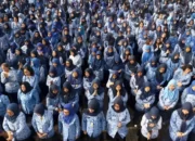 Rekrutmen Besar PNS 2023: 500 Ribu ASN Pusat dan Daerah Bergabung dengan Pemerintah!