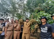 Optimisasi Pusat Kelengkeng di Lampung Timur: Gubernur Arinal Mendorong Dukungan dari Berbagai Pihak