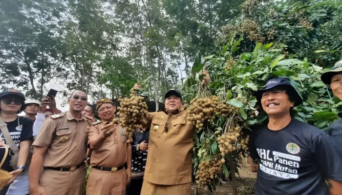 Optimisasi Pusat Kelengkeng di Lampung Timur: Gubernur Arinal Mendorong Dukungan dari Berbagai Pihak