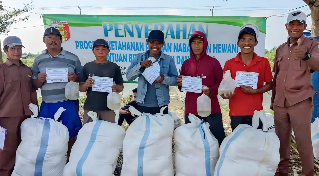 Udang Gagal Panen, Pemerintah Kampung Bumi Dipasena Utama Bagikan 840 Kantong Bibit Bandeng ke Warga
