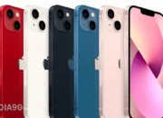 Apple Siap Rilis Pembaruan Perangkat Lunak iPhone 12 Meski Terdampak Isu Radiasi