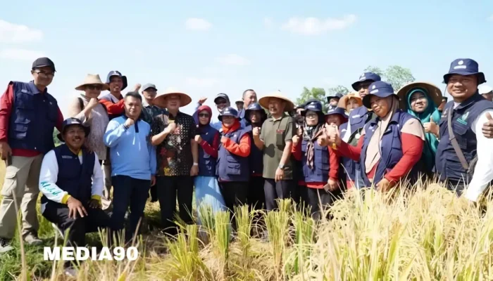 Sukses Panen Padi di Gading Kencana: Pj Bupati Tulangbawang Barat Sebut Produksi Tetap Kokoh Meski Musim Kemarau