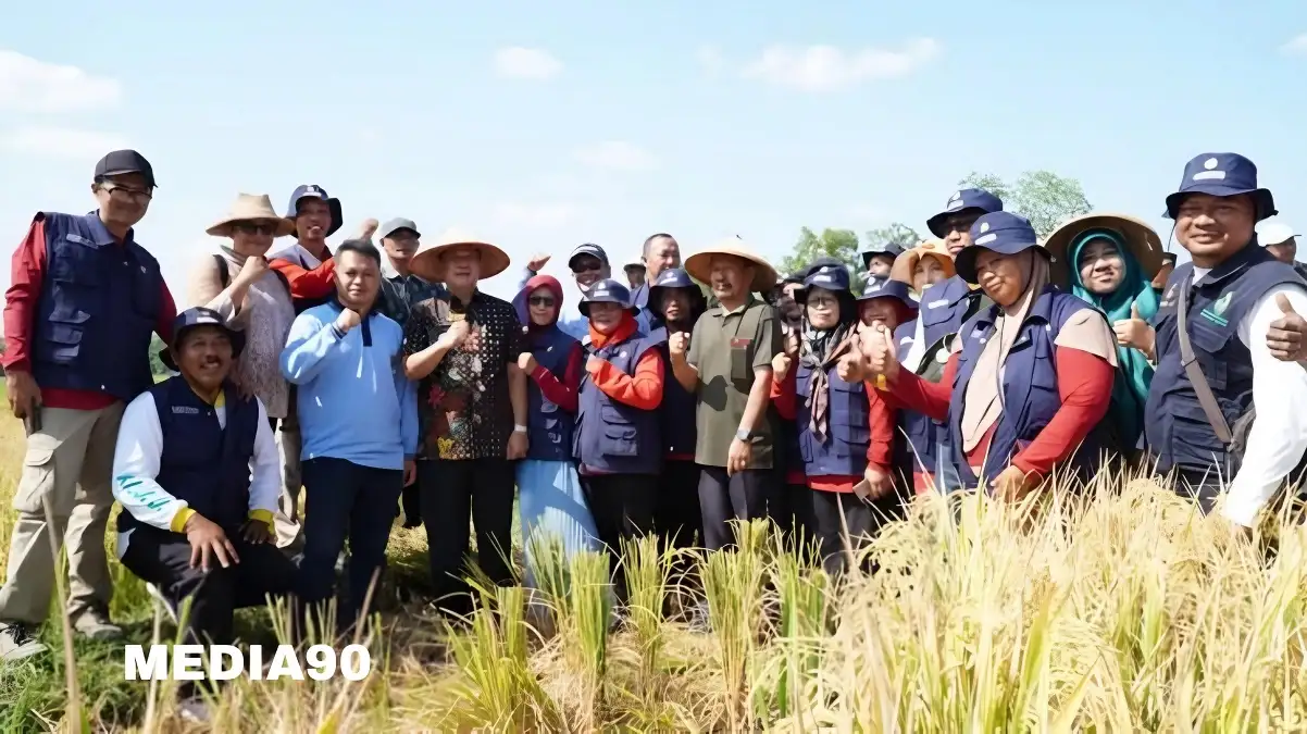 Panen Raya di Gading Kencana, Pj Bupati Tulangbawang Barat Sebut Produksi Padi Meningkat Meski Musim Kemarau