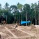 Warga Hibahkan Tanah 1 Ha, Pemprov Lampung Bangun SMKN Pulau Tabuan Tanggamus