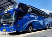 Jelajahi Ragam Jenis Bus dan Harga 1 Unit: Untuk Para Penasaran