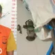 Curi Kabel Rp200 Juta di Tempatnya Bekerja, Pria Asal Sidomulyo Lampung Selatan ini, Kini Berseragam Tahanan