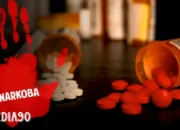 Peringkat Tiga Nasional: Lampung, Destinasi Pilihan dalam Peredaran Narkoba Menurut BNN RI