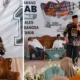 Melalui Muskercab PKB Lampung Timur, Noverisman Subing Bakar Semangat Kader Menangkan AMIN