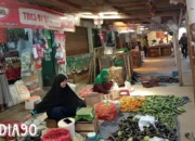 Krisis Pangan di Bandar Lampung: Harga Bawang dan Sayuran Terbang Tinggi Akibat Musim Kemarau yang Gagal Panen
