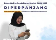 Perpanjangan Pendaftaran Seleksi CPNS dan PPPK 2023: Penjelasan Terbaru dari BKN